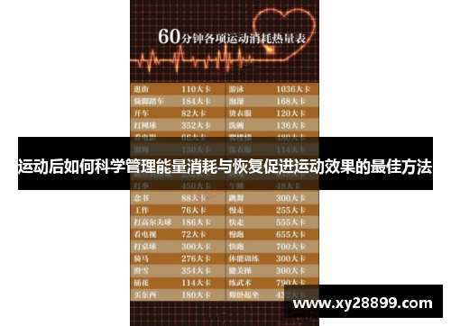 运动后如何科学管理能量消耗与恢复促进运动效果的最佳方法
