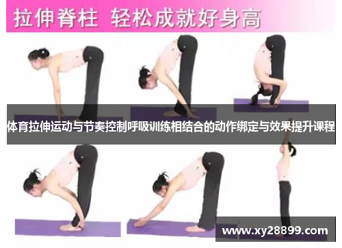 体育拉伸运动与节奏控制呼吸训练相结合的动作绑定与效果提升课程